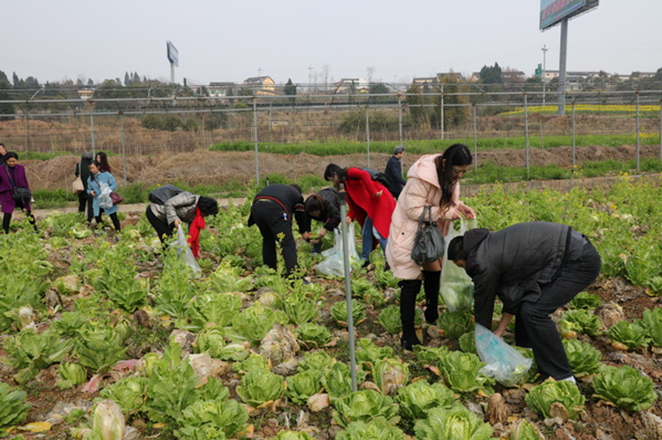 市质监局质量发展绿色行动庆祝三八妇女节 (2).png 市质监局质量发展绿色行动庆祝三八妇女节 (2).png